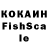 COCAIN Fish Scale NASIBA Nasimova